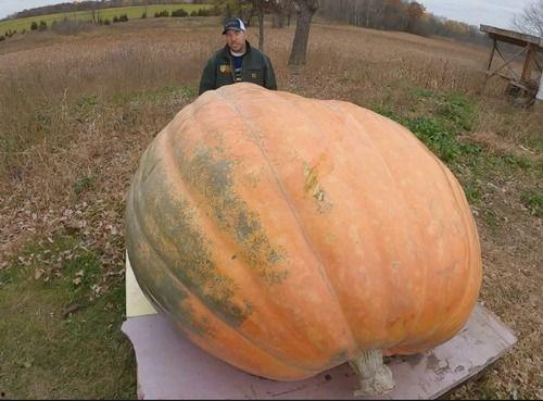 梦见吃瓜呕吐了